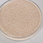 Cation Exchange Capacity Molecular Sieve Zeolite 900-1200 M2/g Surface Area Na2O 2-4%